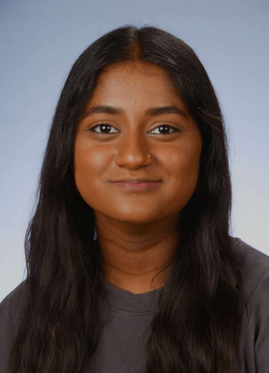 Foto Tweede Kamerlid